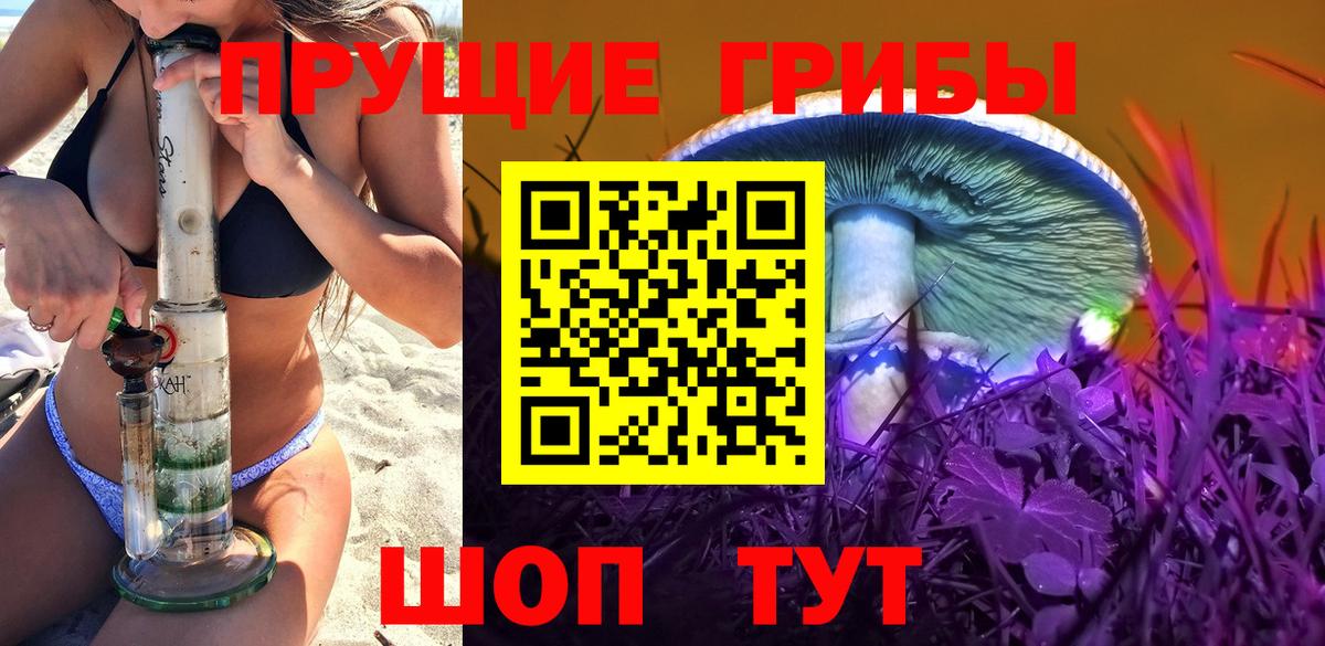 Псилоцибиновые грибы Psilocybe Ставрополь