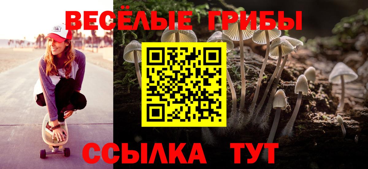 Псилоцибиновые грибы Psilocybine cubensis  Вход с VPN  что такое   Ставрополь 