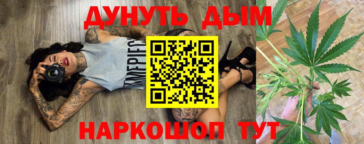 Каннабис сатива Ставрополь